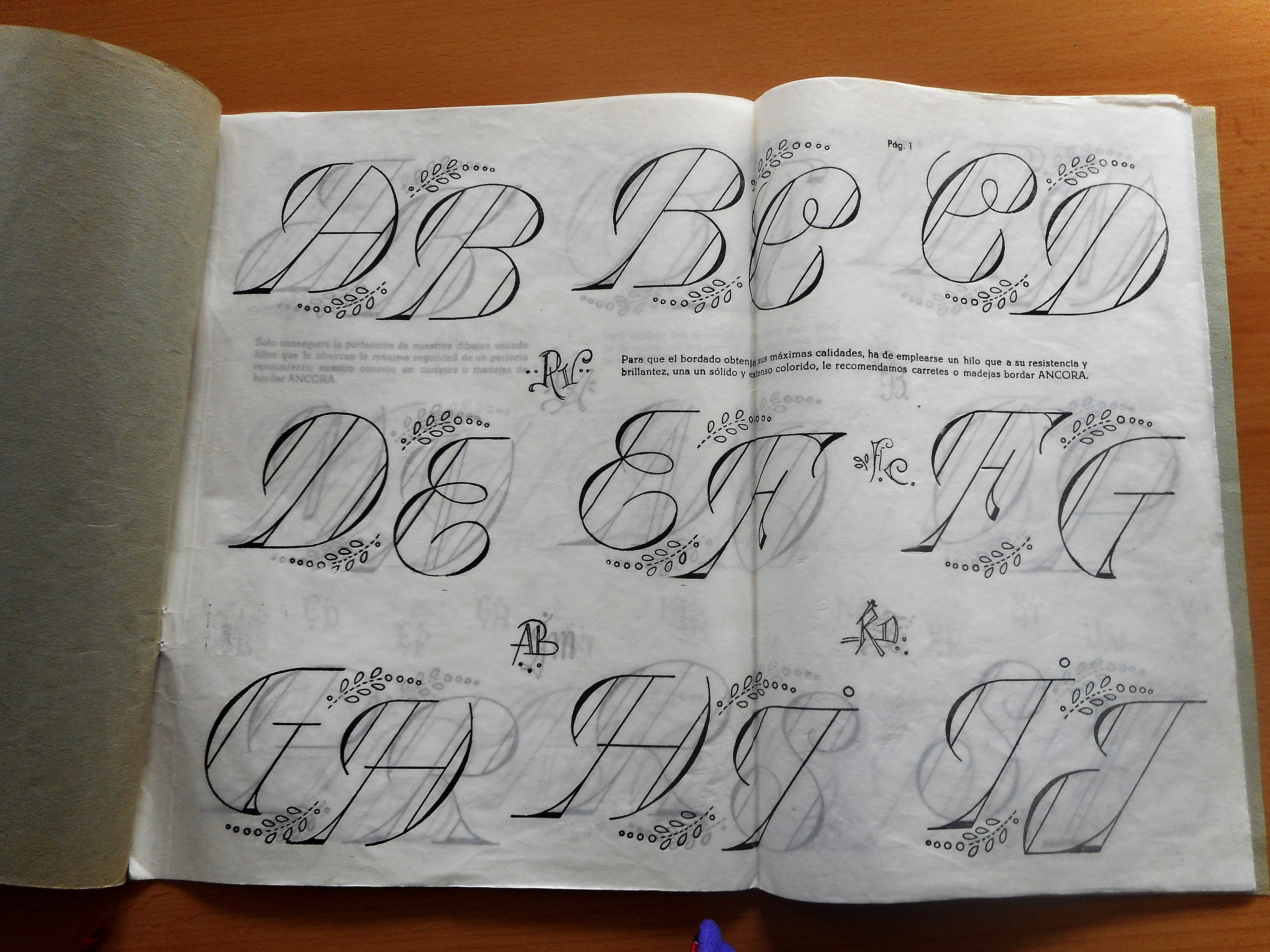 EL QUADERN DE BRODAR DE LA IAIA LOLA