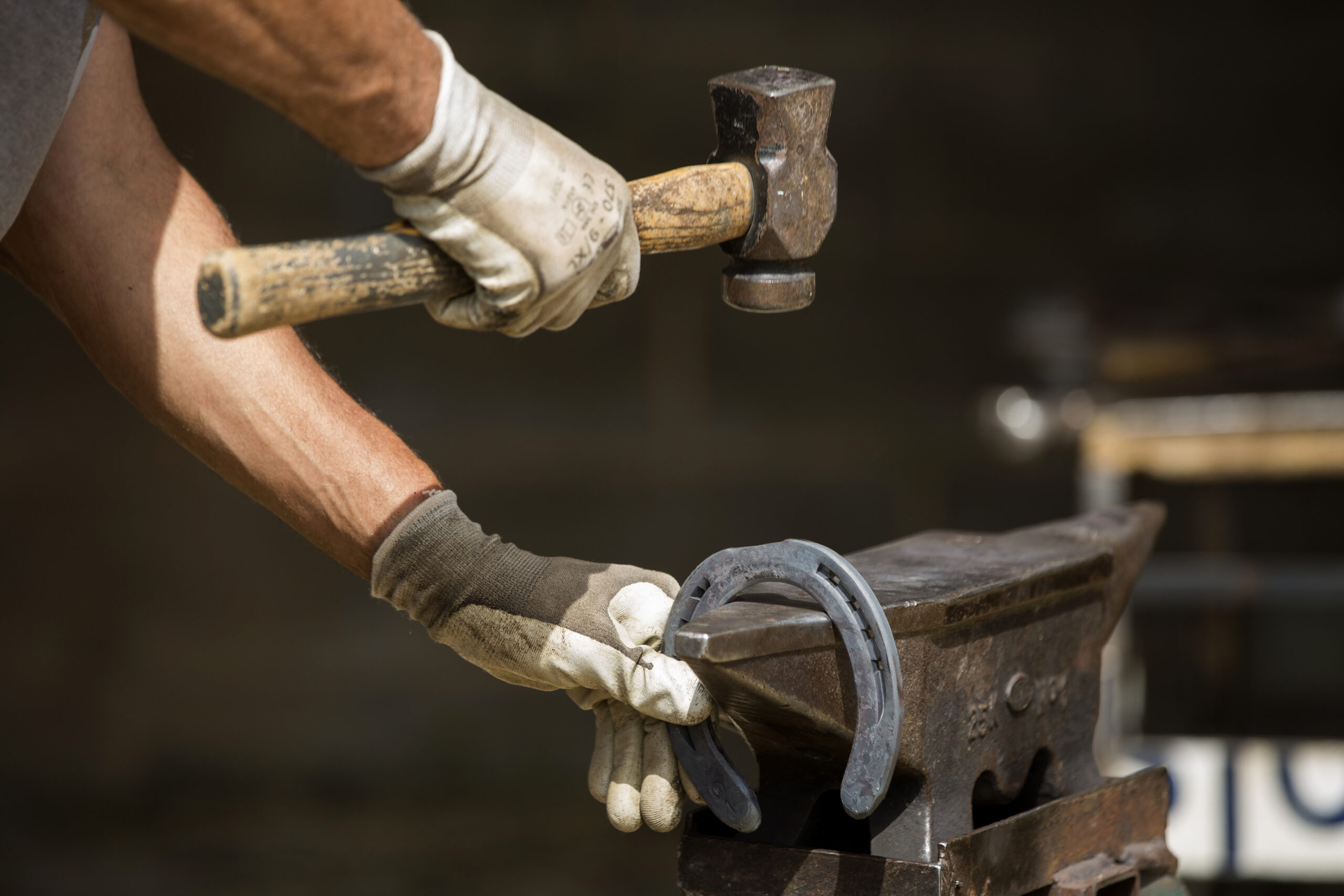 L’ofici de ferrador de cavalls a Sant Julià de Cerdanyola